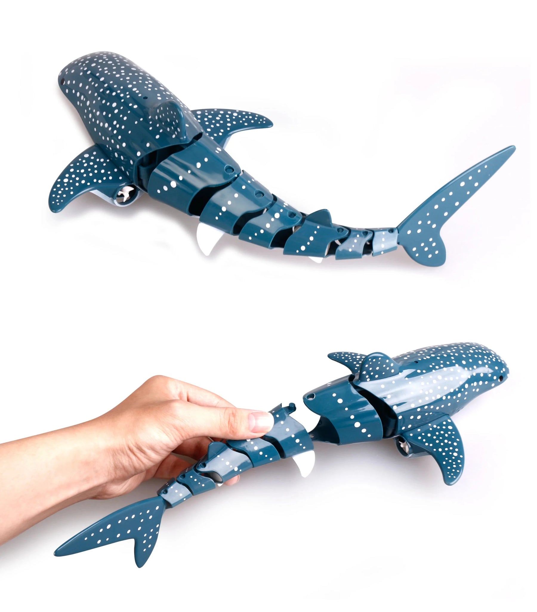 Brinquedo Animais Marinhos com Controle Remoto Brinquedo - marinhos Loja da Dryka