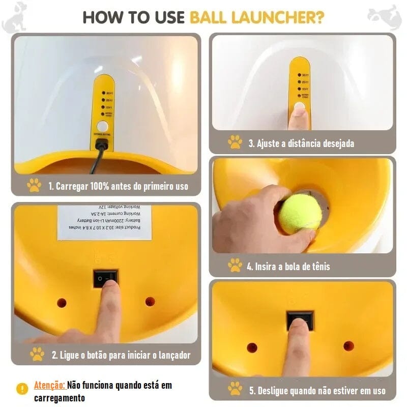 Brinquedo Lançador Automático de Bolas - Pet Ball pet shop - brinquedo lancador Loja da Dryka