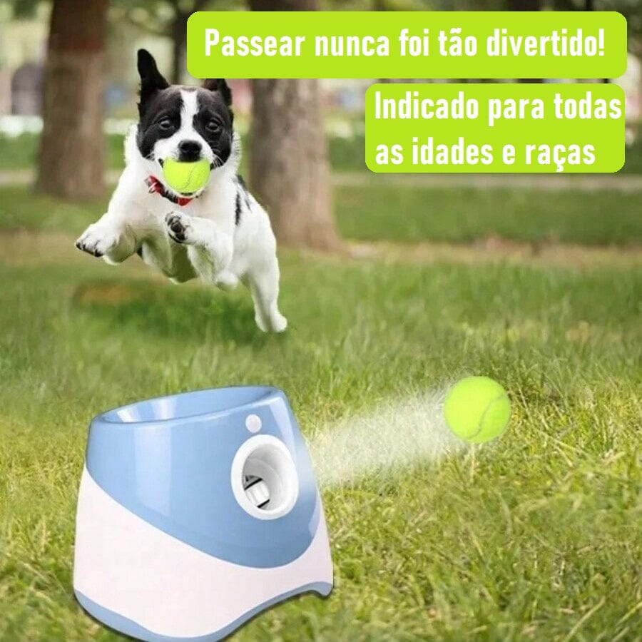Brinquedo Lançador Automático de Bolas - Pet Ball pet shop - brinquedo lancador Loja da Dryka