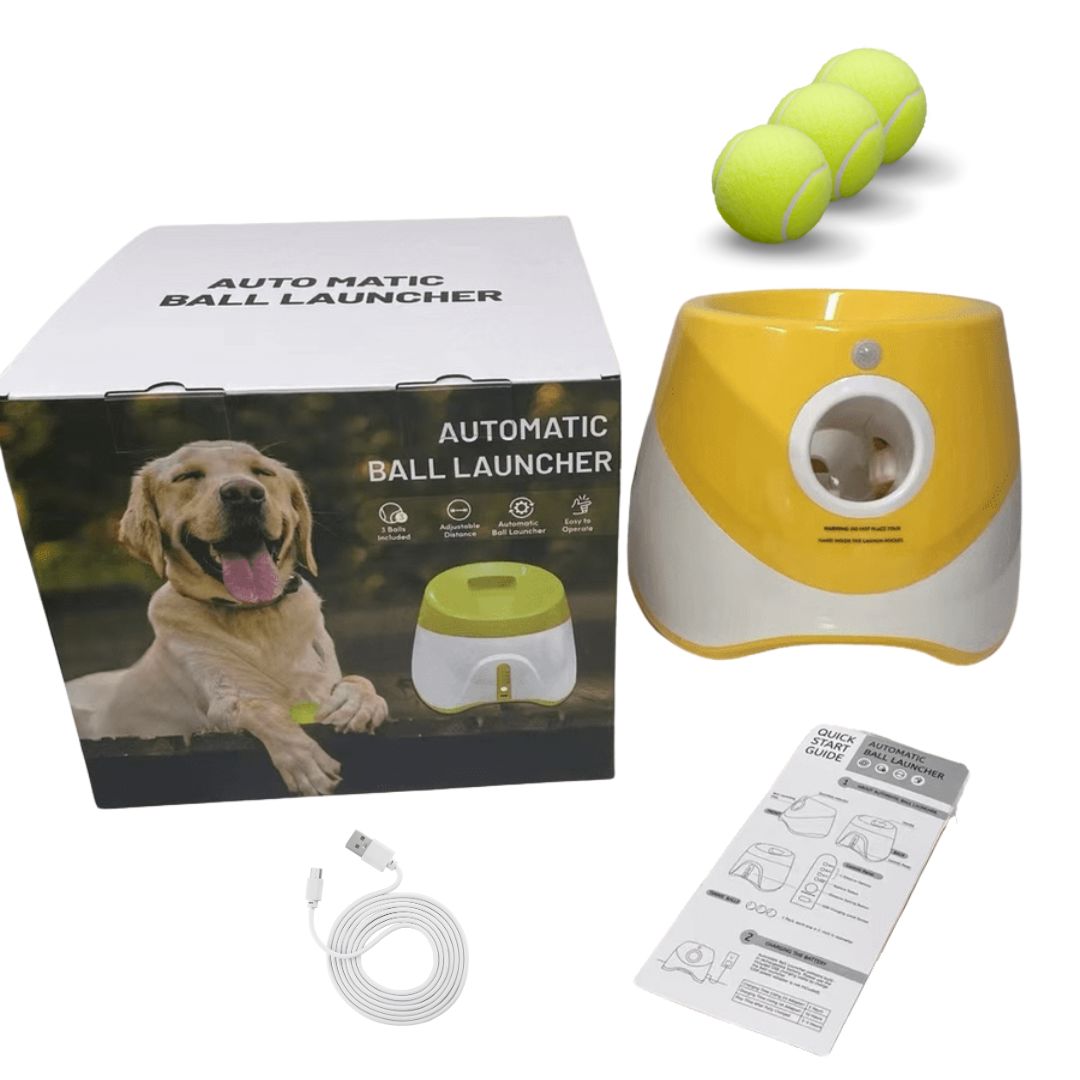 Brinquedo Lançador Automático de Bolas - Pet Ball pet shop - brinquedo lancador Loja da Dryka Laranja