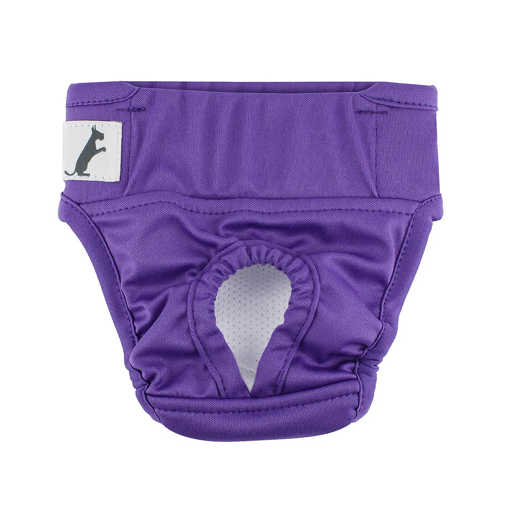 Calcinha Pet Reutilizável calcinha pet 001 Loja da Dryka P Azul