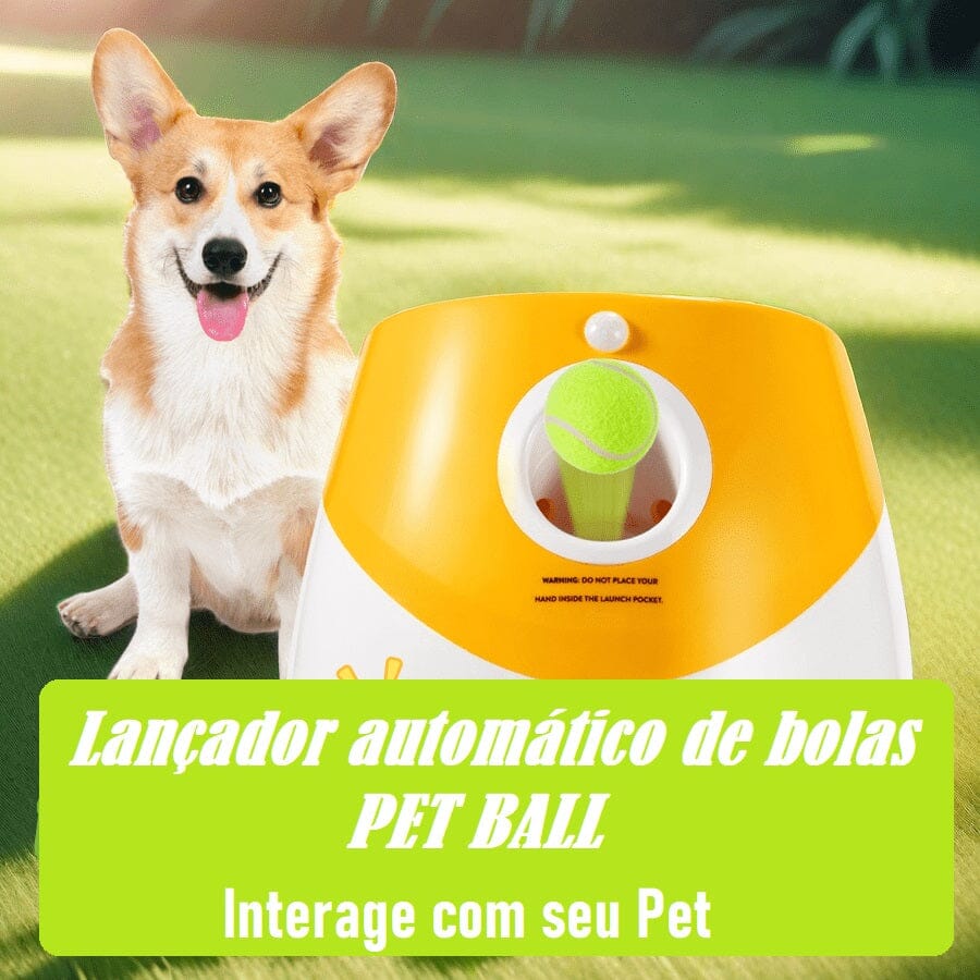 Brinquedo Lançador Automático de Bolas - Pet Ball pet shop - brinquedo lancador Loja da Dryka 