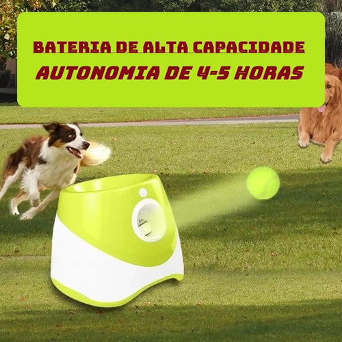 Brinquedo Lançador Automático de Bolas - Pet Ball pet shop - brinquedo lancador Loja da Dryka 