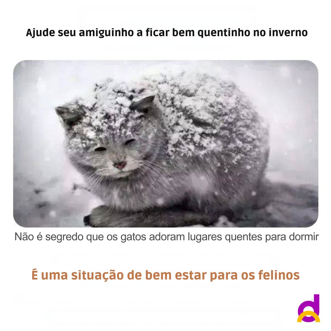 Casinha para Cachorro e Gatos - Thermo Pet casa de gatos impermeavel Loja da Dryka 