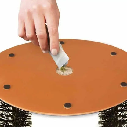 Escova Massageadora e Removedora de Pelos 2 em 1 - Miau Touch petshop - arco para gatos Loja da Dryka 