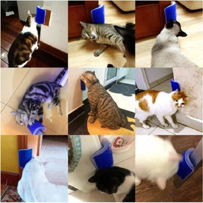 Escova Massageadora para Gatos - Cat Scratcher pet shop - escova massageadora Loja da Dryka 