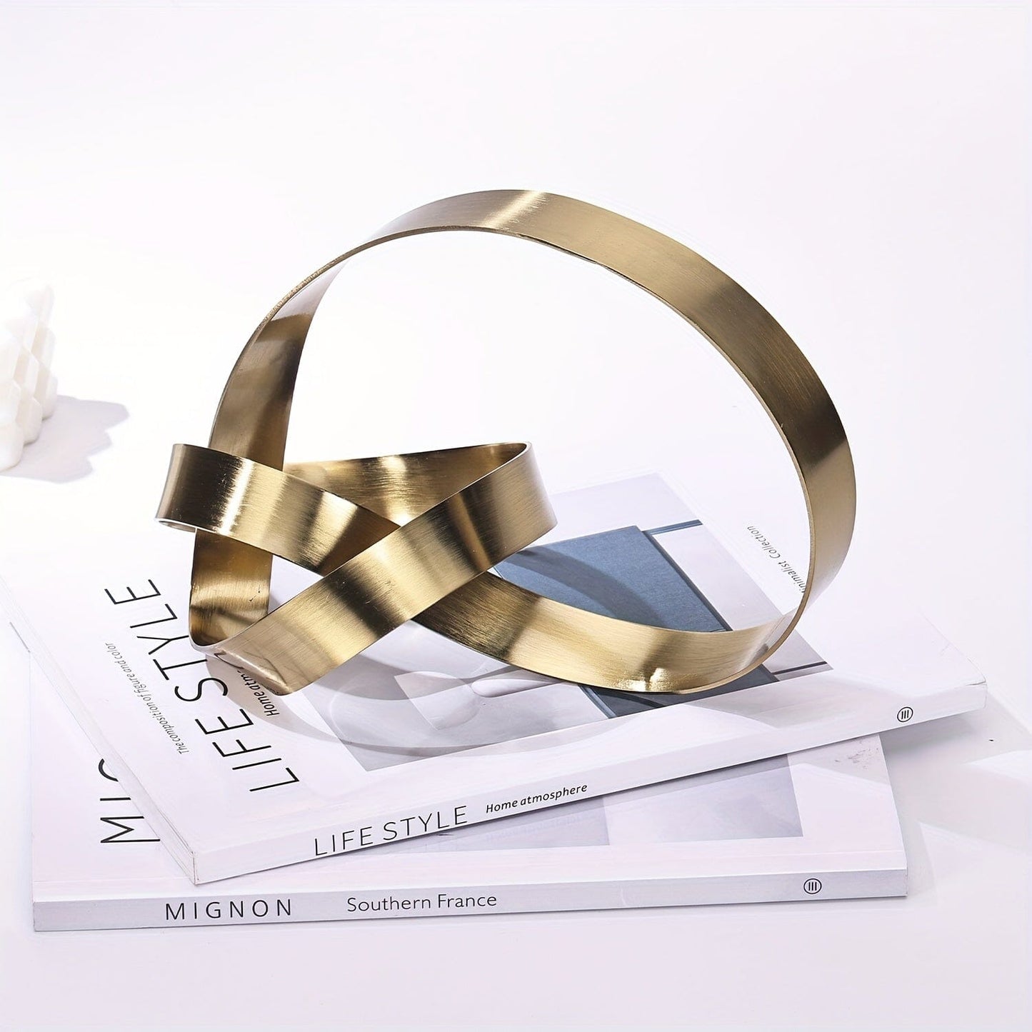 Escultura Moderna Abstrata em Metal -Nó Infinity Loja da Dryka 