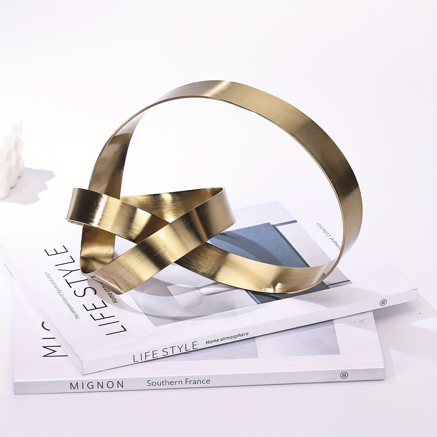 Escultura Moderna Abstrata em Metal -Nó Infinity Loja da Dryka 