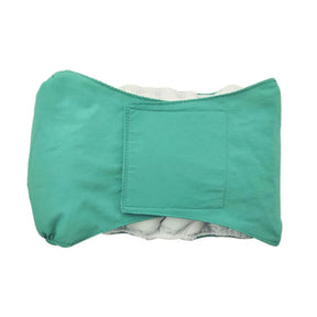 Fralda Reutilizável para Pets - Macho pet shop 016 Loja da Dryka Verde XP 