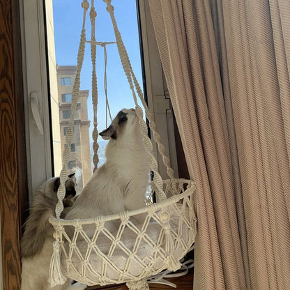 Rede Suspensa para Gatos em Corda de Algodão Artesanal cama suspensa teto gato Loja da Dryka 