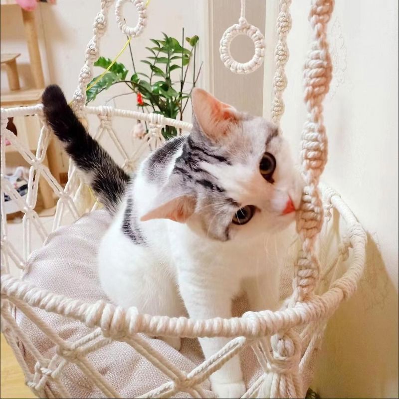 Rede Suspensa para Gatos em Corda de Algodão Artesanal cama suspensa teto gato Loja da Dryka 