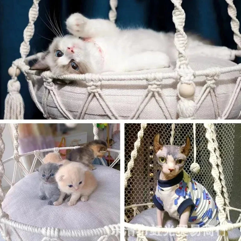 Rede Suspensa para Gatos em Corda de Algodão Artesanal cama suspensa teto gato Loja da Dryka 