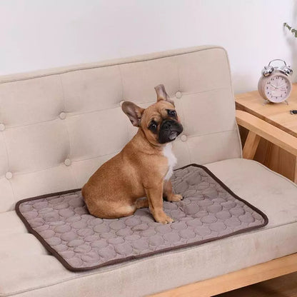 Tapete Gelado Para Pets Loja da Dryka 