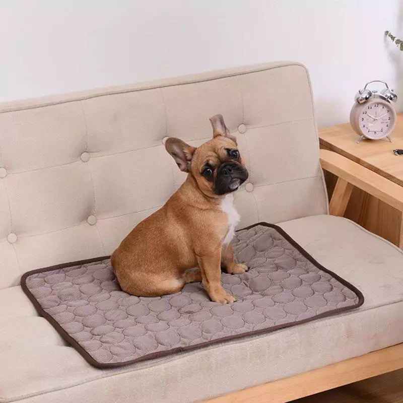 Tapete Gelado Para Pets Loja da Dryka 