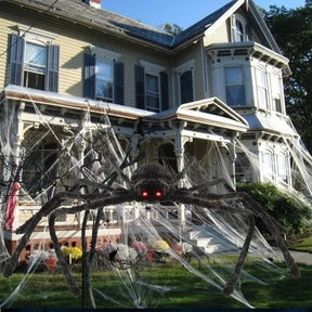 Aranha Gigante Viúva Negra Loja da Dryka 