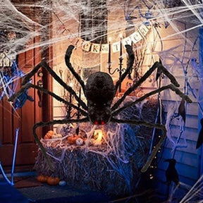 Aranha Gigante Viúva Negra Loja da Dryka 