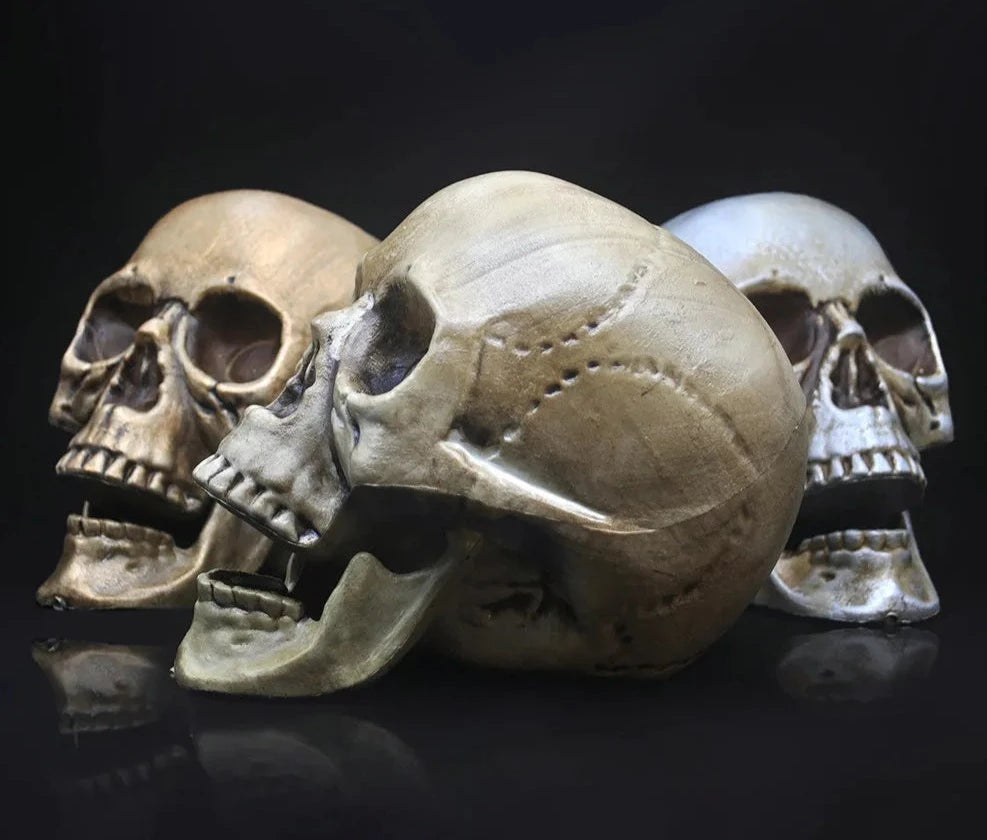Crânio Decorativo -Noites do Terror Loja da Dryka 