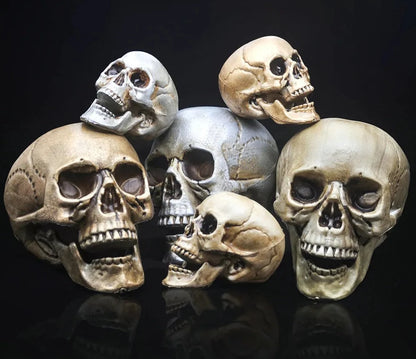 Crânio Decorativo -Noites do Terror Loja da Dryka 