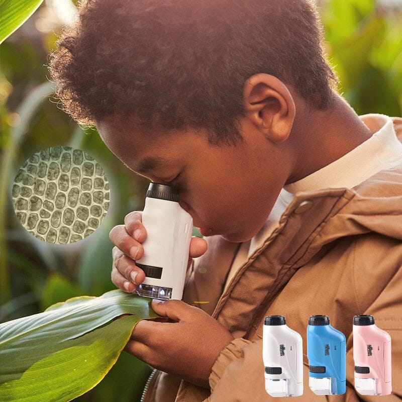 Microscópio Infantil de Mão 0 Loja da Dryka 